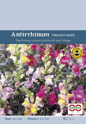 CRGO ANTIRRHINUM Seed