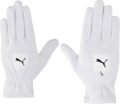 PUMA Future 20.1 BI Wicket Keeping Gloves