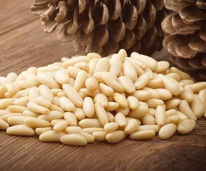 SundarLaxmi PINE NUTS WITHOUT SHELL| CHILGOJA WITHOUT SHELL Pine Nuts