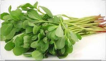 Gromax India Kulfa Saag Seeds Seed