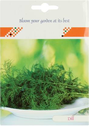 CRGO Dill™ Seeds-XLA-35 Seed
