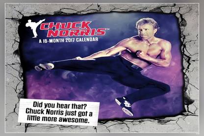 Chuck Norris Matte Finish Poster Paper Print