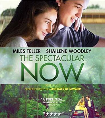 The Spectacular Now DVD [DVD] [DVD]
