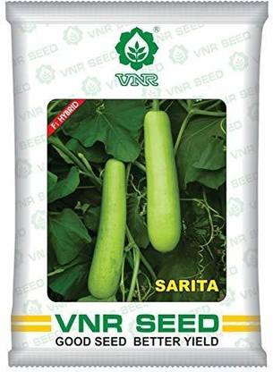 VNR Kukumber Seed