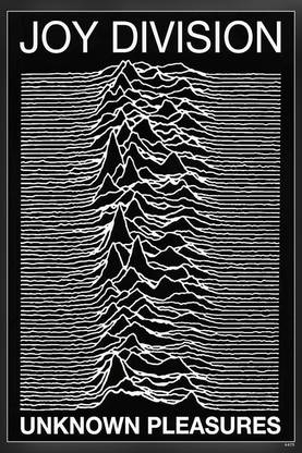 Joy Division - Unknown Pleasures Album Cover Matte Finish Poster Paper Print