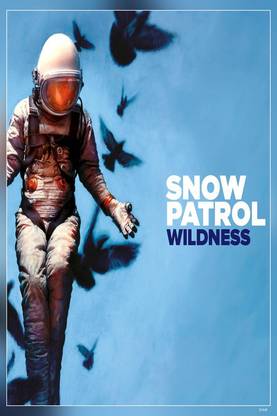 Snow Patrol Irish-Scottish Rock Band Matte Finish Poster Paper Print