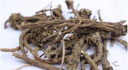 kotaliya Akarkara , Anacylus, Pyrethrum, Pellitory Root, Akar Kara (250 Grm)