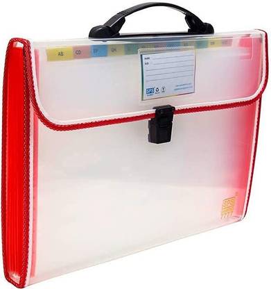 BANSURI ARISTOCRATIC Plastic Transparent Expanding File Folder|A4 Size with Handle and 13 Pockets|Pack of 1