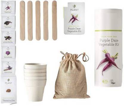 Quinergys XII-245-Purple Daze Vegetable Kit Seed