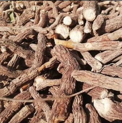plantsworld Patala Garuda, Sarpagandha, Rauvolfia serpentina, Dhavalbarua, Sootranaabhi Seed