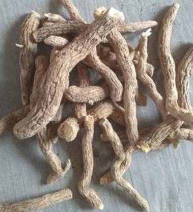 plantsworld Sarpagandhi, Patala Garuda, Sarpagandha, Amalpori, Chivan Amalpodi Seed