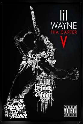 Tha Carter 5 Concept Album Cover Lil Wayne Cover Matte Finish Poster Paper Print