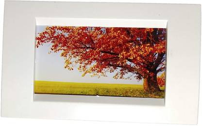 JAGRUT Picture Light Wall Lamp With Bulb