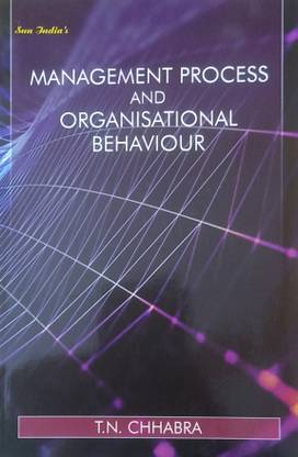 SUN INDIA'S MANAGEMENT PROCESS AND ORGANISATIONAL BEHAVIOUR