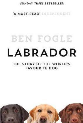 Labrador