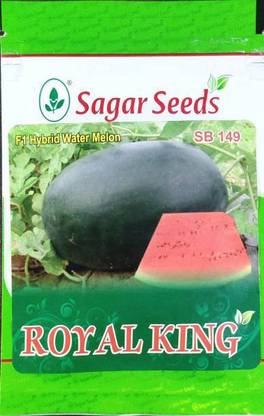 SAGAR F-1 HYBRID WATERMELON SEEDS Seed (220 per packet) Seed