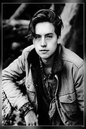 Cole Sprouse Matte Finish Poster Paper Print