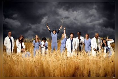Greys Anatomy Grey Anatomy Cast Movie Matte Finish Poster Paper Print