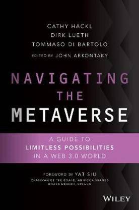 Navigating the Metaverse