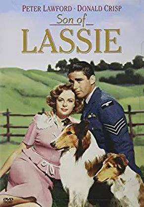 Son of Lassie - DVD - Warner Bros. | 1945 | 102 min | Rated G | Aug 24, 2004 - Starring: Peter Lawford, Donald Crisp, June Lockhart, Nigel Bruce, William Severn, Leon Ames - Director: S. Sylvan Simon [DVD]