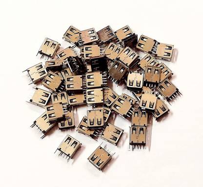 ERHIndia (Pack of 100)USB-A Socket USB Interface Straight pin Female Head Power Supply Electronic Hobby Kit