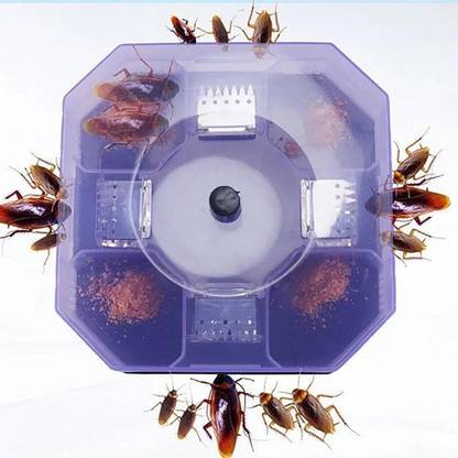 jpdsrn Cockroach Traps Box_1 Live Trap