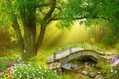 HD PRINT HOUSE Nature Multicolor Wallpaper