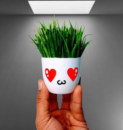 Neki Bonsai Wild Artificial Plant  with Pot