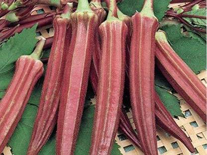 MKR Enterprises Red Okra Seed