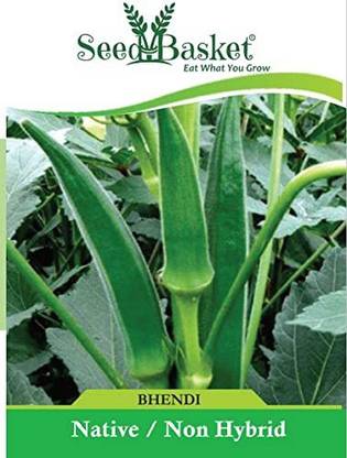 MKR Enterprises Bhindi Seed