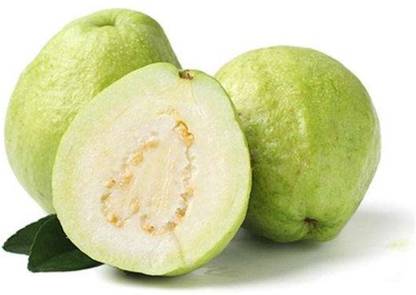 GOROOT Guava, Amrood, Amrud, Psidium, Guajava Seed