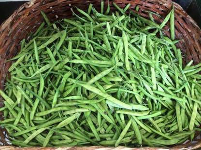 Aro Guar, Cluster Beans/Guar, gavar Seed