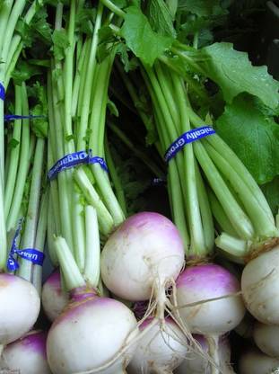MKR Enterprises Turnip Seed