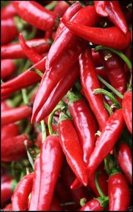VibeX LXI-5 - Pulla Or Puya Chili Chilli/Chile(3Pepper ) - (150 Seeds) Seed