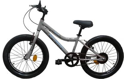 Voom Fun 2000 20 T (inch) BMX Cycle