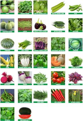 Unique Shine Seeds Pack of 32 varieties of Vegetable Seeds Seed