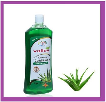 Valley VAL-9 Aelovera Shampoo For Classy Hair