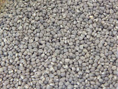 Xetomos Muskdana Lata Kasturi 100g seeds Seed
