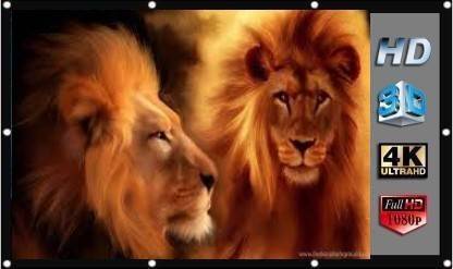 Vilro 72 inch Reflective Fabric Projection Screen, 63 inch (W) x 35 inch (H) Flexible Projector Screen (Width 160 cm x 90 cm Height)