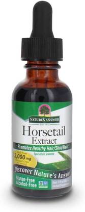 Nature's Answer Horsetail, Alcohol-Free,1 fl oz (30 ml)