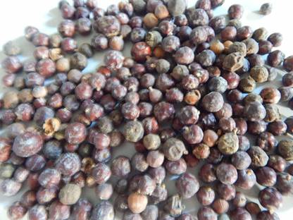 Xetomos Abhal Dried Juniper Berry Juniprus 150g seeds Seed