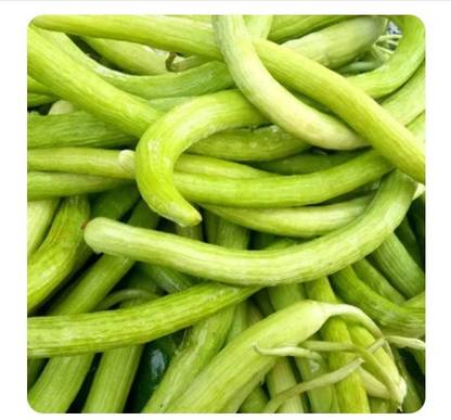 GOROOT Armenian Long Cucumber / Snake Cucumber-SD-500-C4 Seed