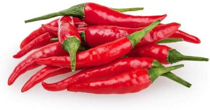 MKR Enterprises Chilli Seed