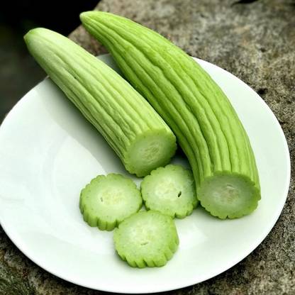 GOROOT Kakri (Kakdi) seeds-SD-200-L0 Seed
