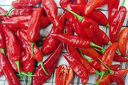 MKR Enterprises Chilli Seed