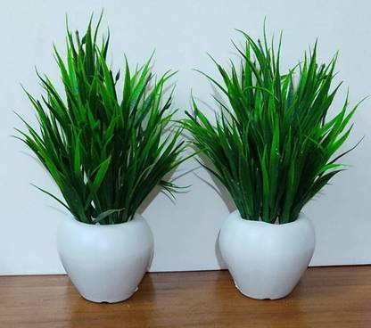 Siddhivinayak Bonsai Apple Artificial Plants with Faux Grass for Home - 18 cm, Green & White Bonsai Artificial Plant  with Pot