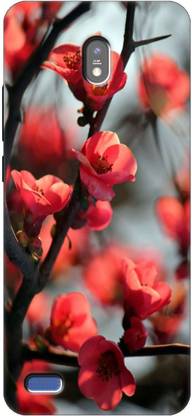 Print maker Back Cover for JioPhone Next, Jio Next Back Cover