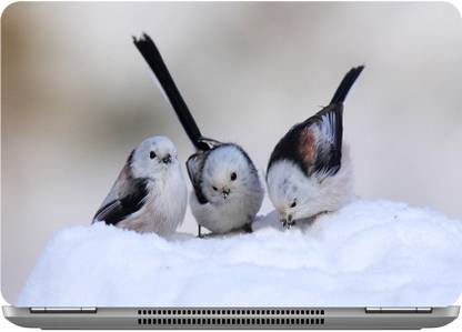 imbue Snow birds Laptop Skin Decal 15.6 x 10.3 Inches Digital Quality Vinyl Laptop Decal 15.6