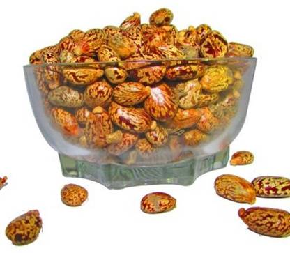 apna arandi seeds Seed