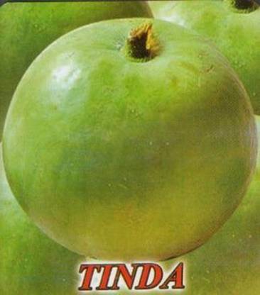 MKR Enterprises Round Gourd Seed